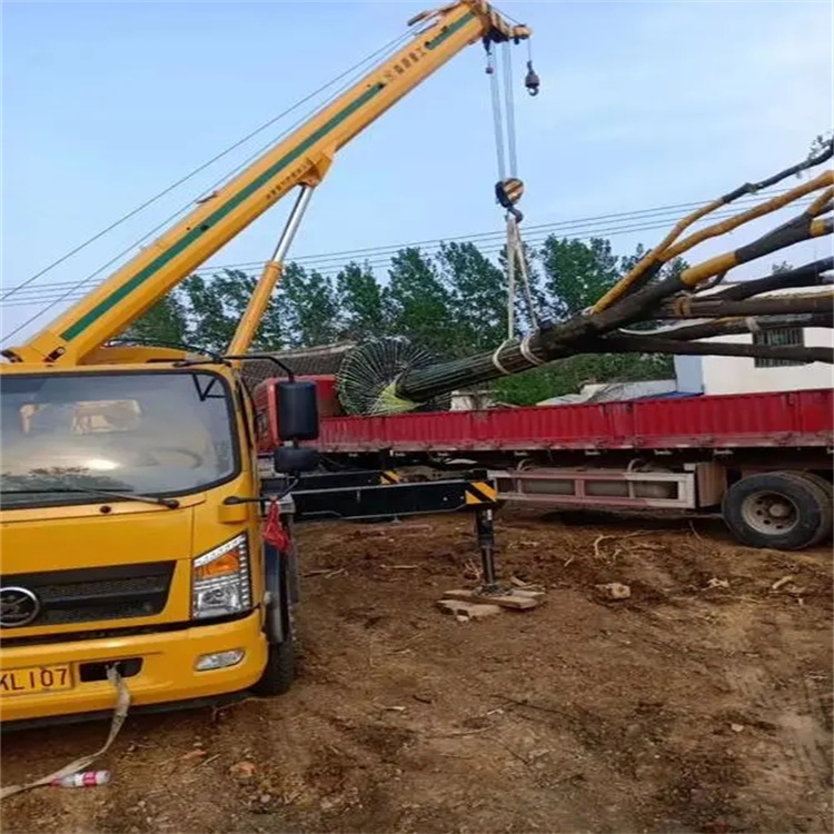 下陆100吨吊车租赁费用怎么算？3大关键因素+省钱技巧全解析